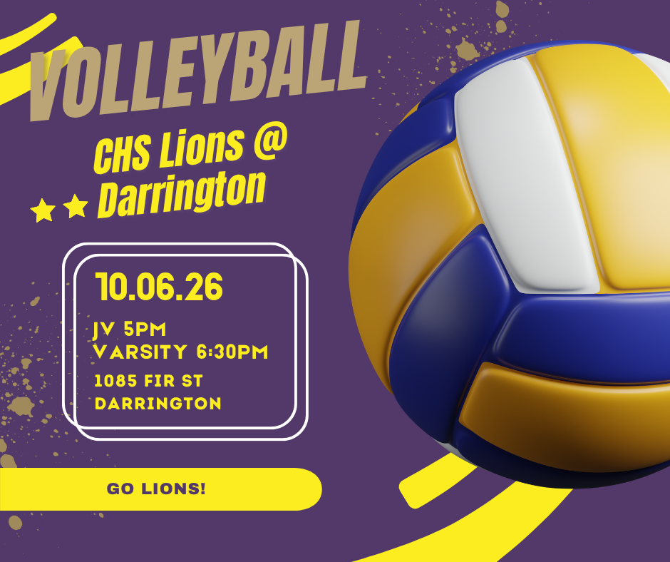 Volleyball flyer